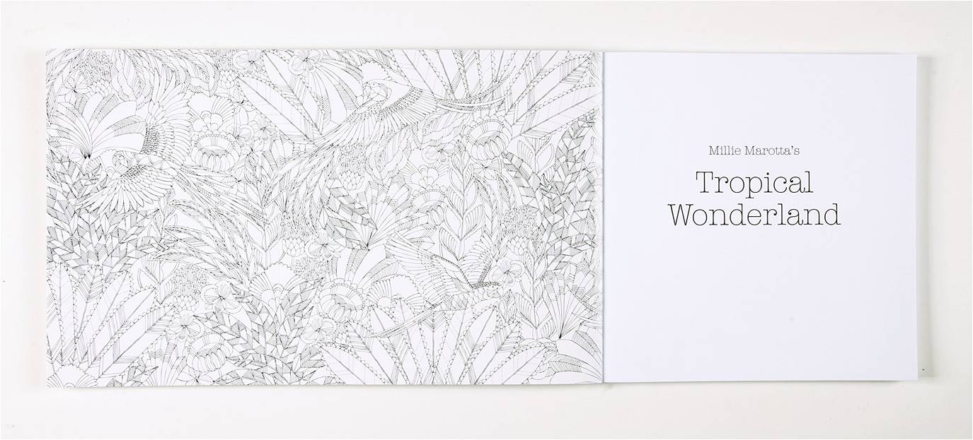 A page from Millie Marotta's Tropical Wonderland: A Colouring Book Adventure