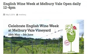 www.mvwinery.co.uk