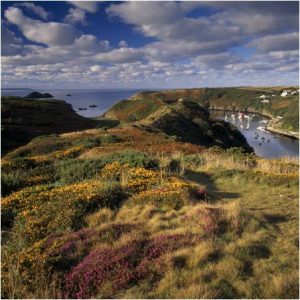 The Gribin-National Trust image -Joe Cornish